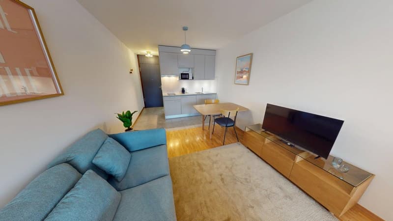 Renovated furnished studio in Geneva's Plainpalais district (12)
