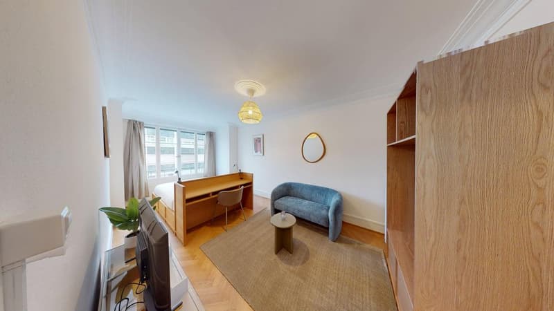 study room with desk and chair, couch, round table, carpet, lamp, television, potted plant, mirror, picture frame, window with curtains