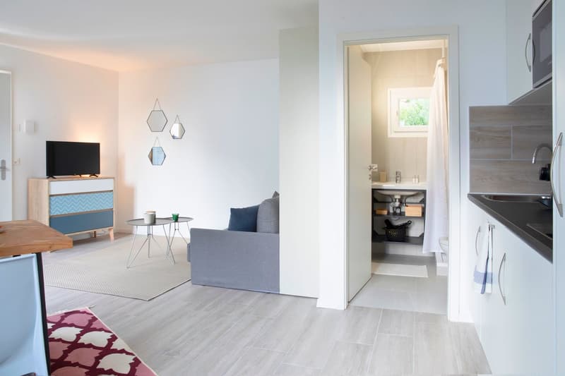 Modern compact living area with a gray sofa, TV, rug, side table, cabinet, sink, and separate bathroom area with a shower and toilet.