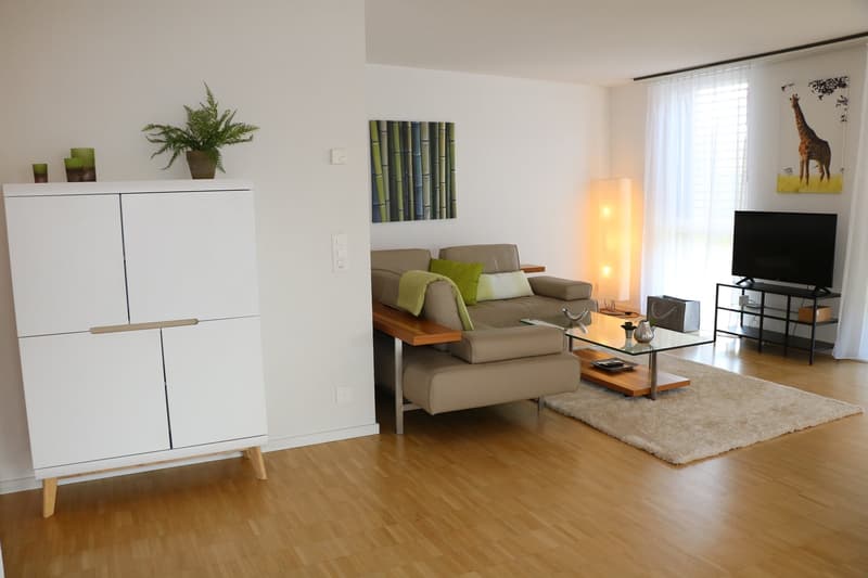 Moderne et lumineux 4.5 pièces avec loggia (5)