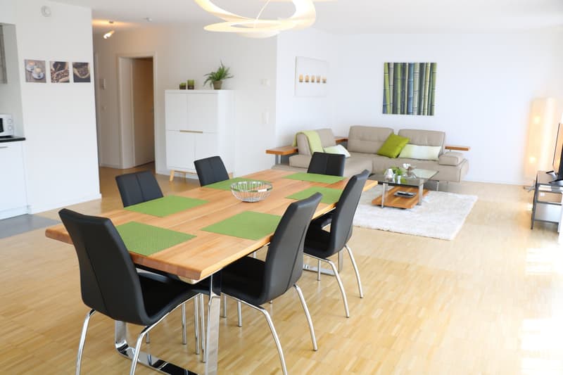 Moderne et lumineux 4.5 pièces avec loggia (4)