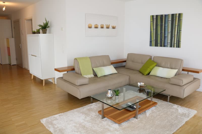 Moderne et lumineux 4.5 pièces avec loggia (6)