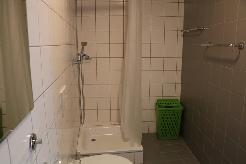 Moderne et lumineux 4.5 pièces avec loggia (14)