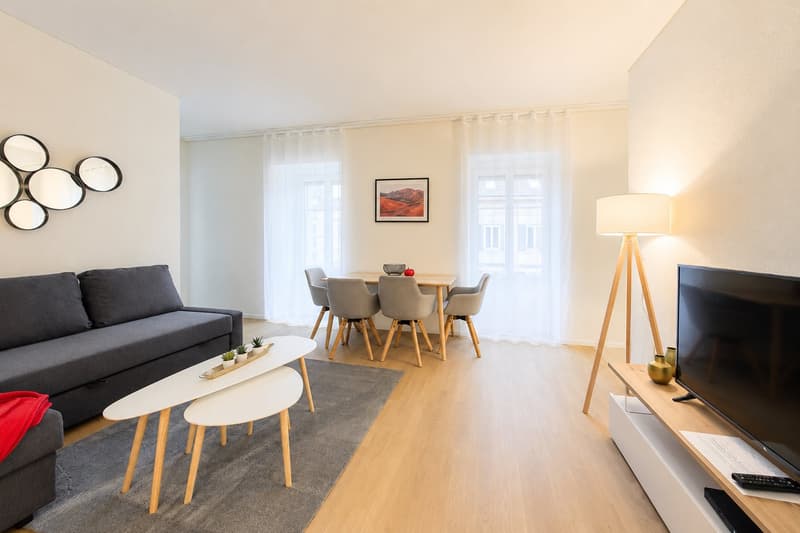 Large and Comfortable 1-Bed Apartment City Center (3)