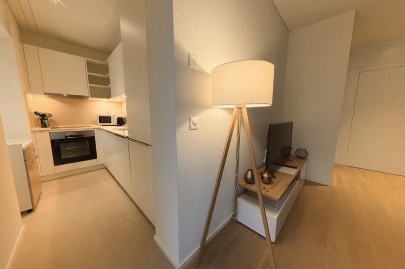 Compact studio apartment with an open kitchen, wooden shelving unit, and a floor lamp. The kitchen features built-in cabinets and a dishwasher.