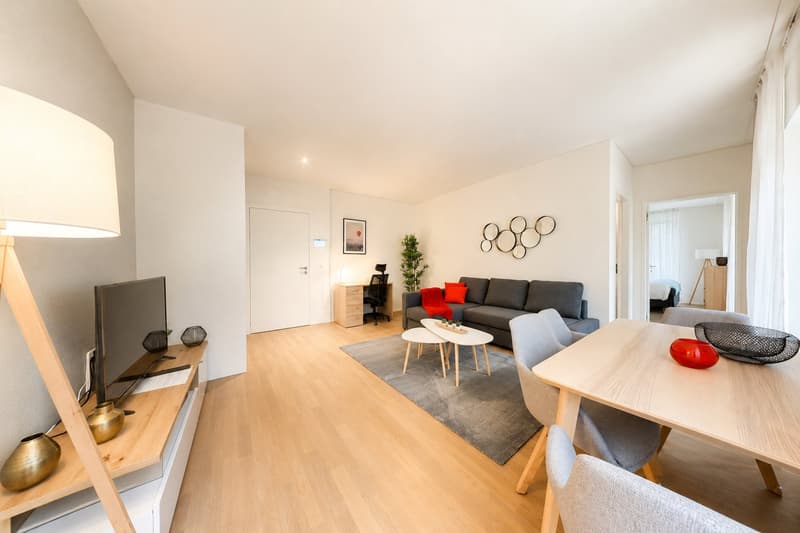 Large and Comfortable 1-Bed Apartment City Center (1)