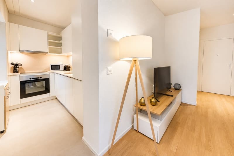 Large and Comfortable 1-Bed Apartment City Center (4)