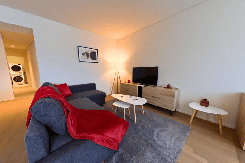 Living room with a gray couch, a red blanket, a gray carpet, a white coffee table, a TV, a wooden cabinet, a lamp, and a picture frame on the wall.