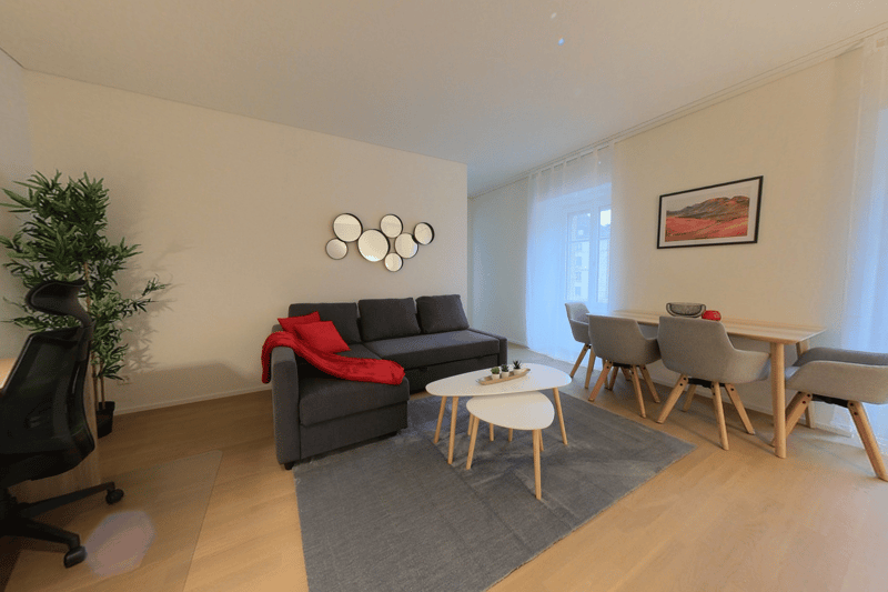 Lovely 1 bed apartment in the city center - Charmant 2.5 pièces au centre-ville (2)