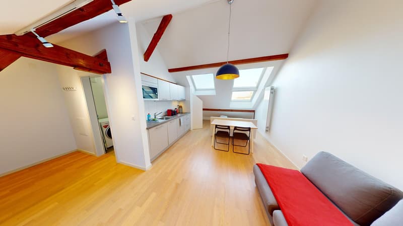 Open-plan room with kitchen and living area, wooden floor, skylights, modern decor, table, chairs, couch, washing machine.