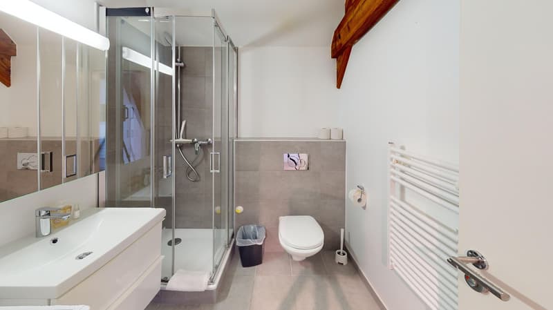 Modern bathroom with shower, toilet, sink, mirror, and radiator