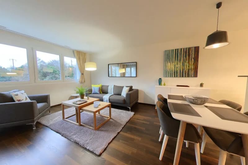 Bright 1-Bedroom Apartment with Balcony & Parking - Central Morges (1)