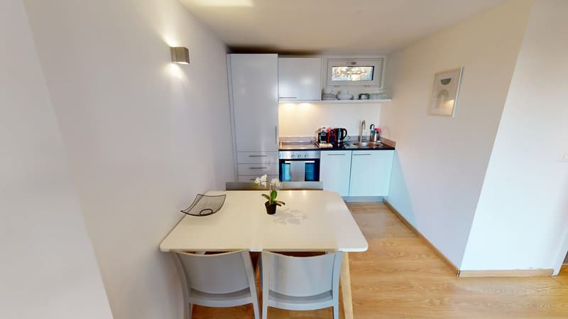 Rooftop Views & Central Location: 1-Bedroom Apartment in Lausanne (8)