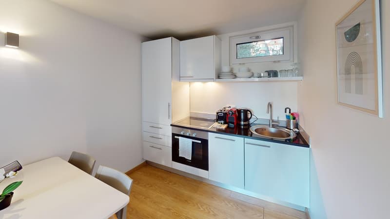 Rooftop Views & Central Location: 1-Bedroom Apartment in Lausanne (19)