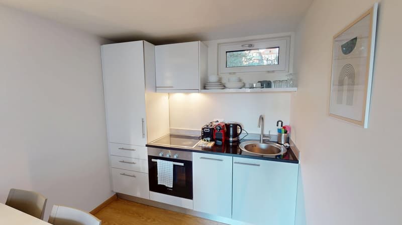 Rooftop Views & Central Location: 1-Bedroom Apartment in Lausanne (5)