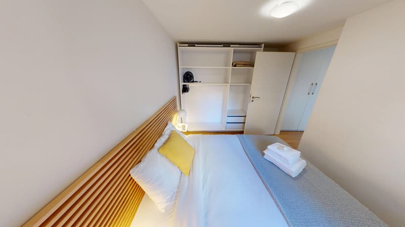 Rooftop Views & Central Location: 1-Bedroom Apartment in Lausanne (12)