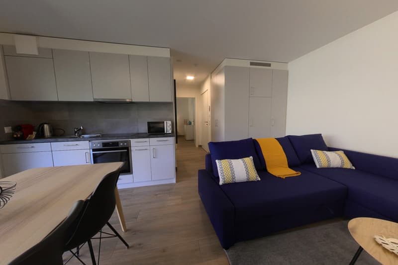 modern kitchen with white cabinets, dining table with chairs, blue sofa with pillows, wooden floor