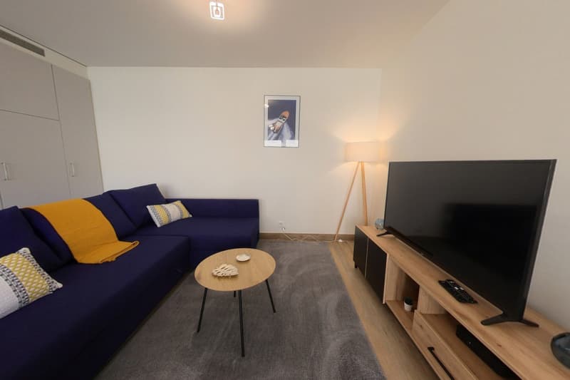 Living room with blue sofa, coffee table, TV, floor lamp, and picture frame on the wall