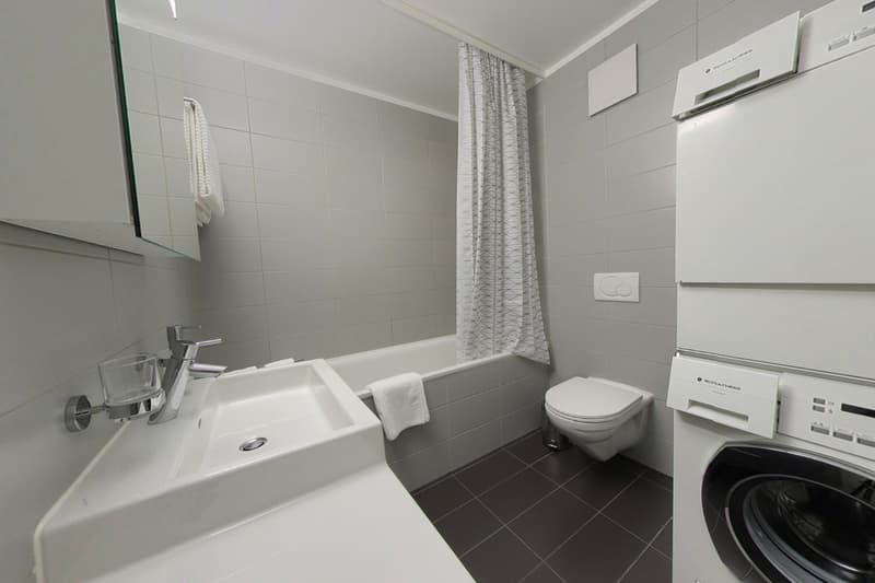 Spacious bathroom with grey tile walls and floor, modern vanity sink, toilet, and a washing machine.