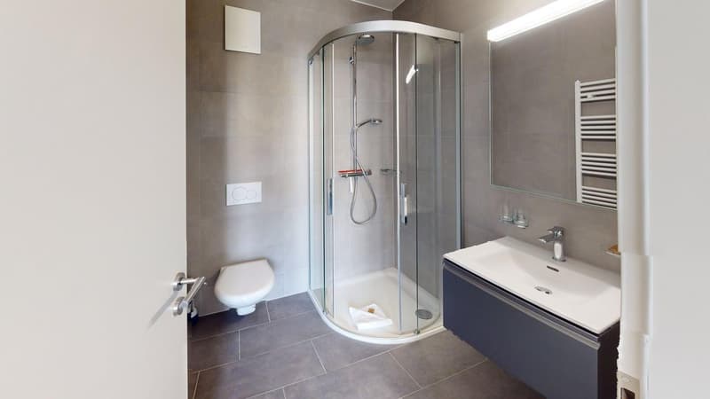 A modern bathroom with a shower, sink, and toilet. The walls and floor are tiled in gray. The shower is glass-enclosed with a silver showerhead, and the sink has a modern faucet.