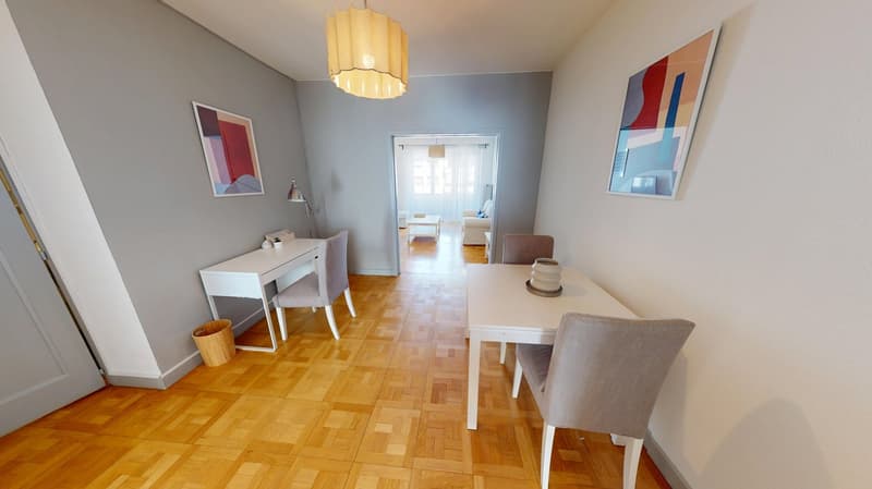 Luminous 2-bedroom apartment in the Charmilles district (5)