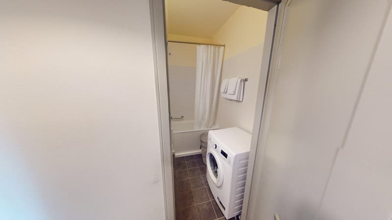 Luminous 2-bedroom apartment in the Charmilles district (17)