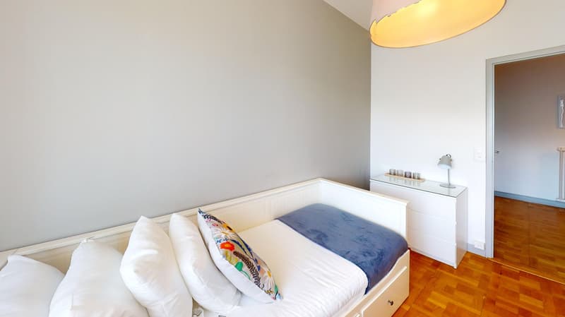 Luminous 2-bedroom apartment in the Charmilles district (10)