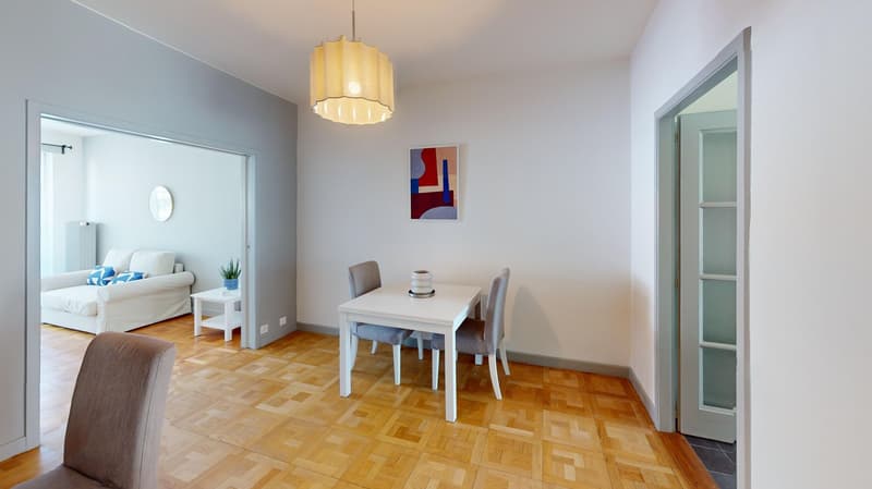 Luminous 2-bedroom apartment in the Charmilles district (4)