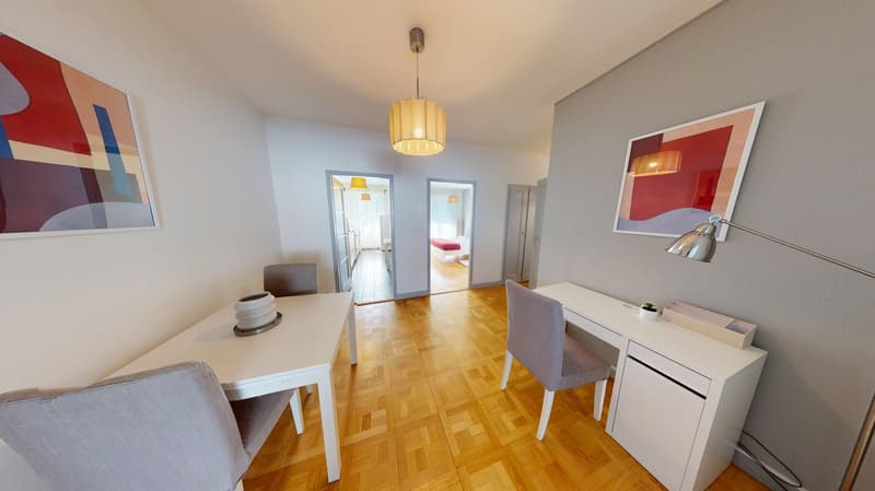 Luminous 2-bedroom apartment in the Charmilles district (3)