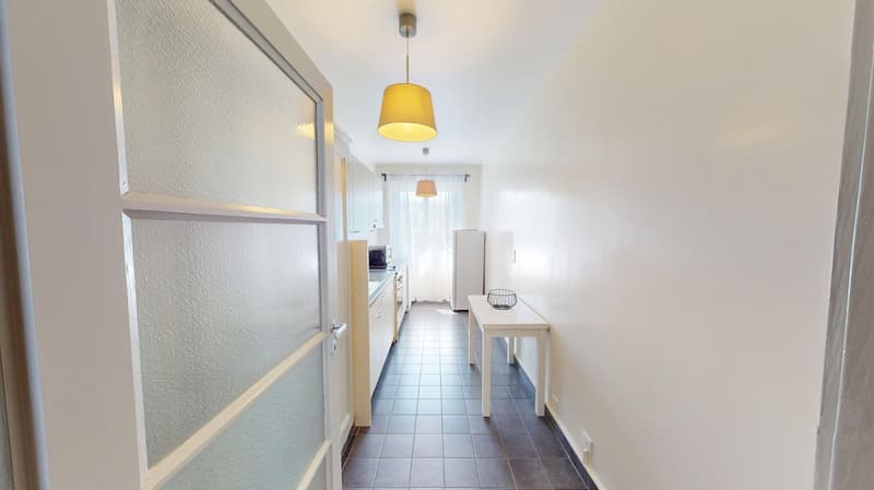 Luminous 2-bedroom apartment in the Charmilles district (13)
