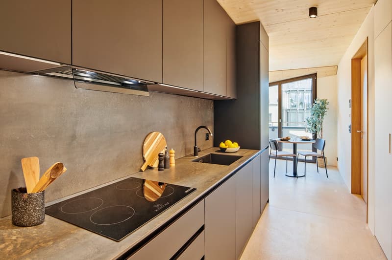 Stilvolles Duplex mit privater Terrasse | Zentrum Luzern (3)