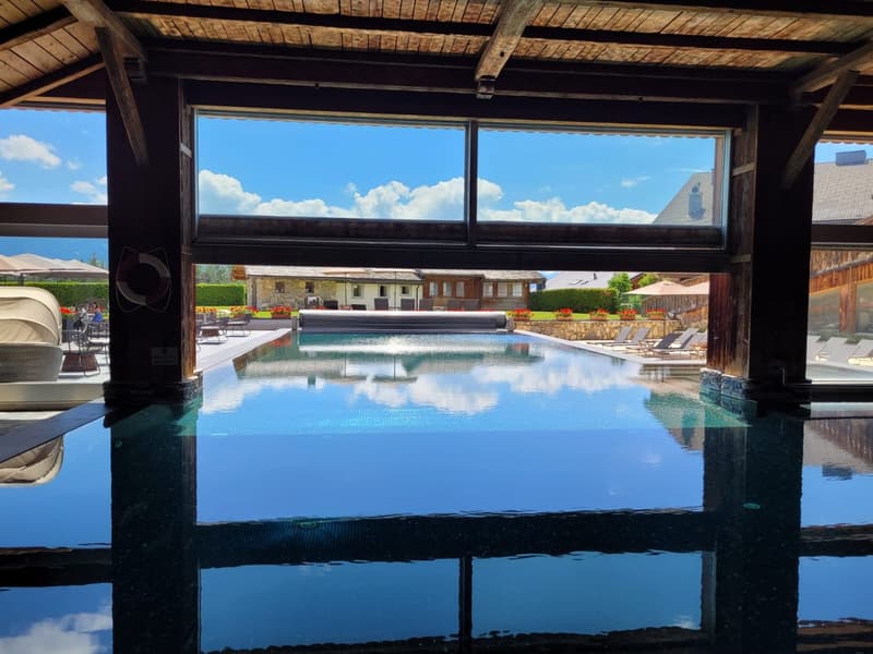 Private Jacuzzi & Mountain View Furnished Studio with Balcony - Swiss Alps Chalet (12)