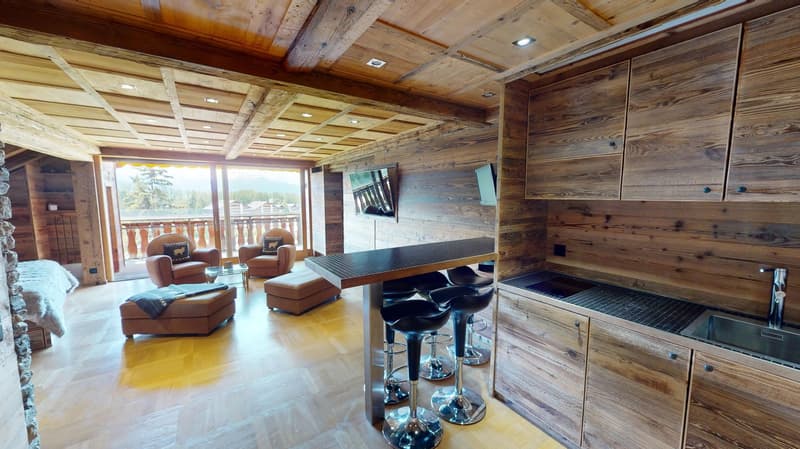 Private Jacuzzi & Mountain View Furnished Studio with Balcony - Swiss Alps Chalet (7)