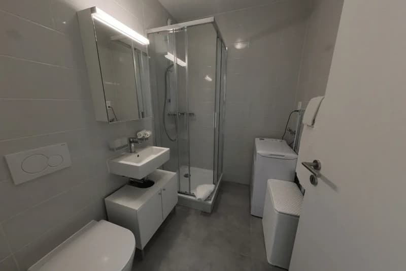 Furnished 1-bed with Balcony & Parking / Appartement meublé 1 chambre Nyon (5)