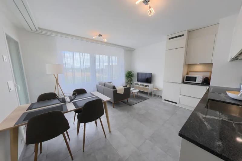 Furnished 1-bed with Balcony & Parking / Appartement meublé 1 chambre Nyon (1)