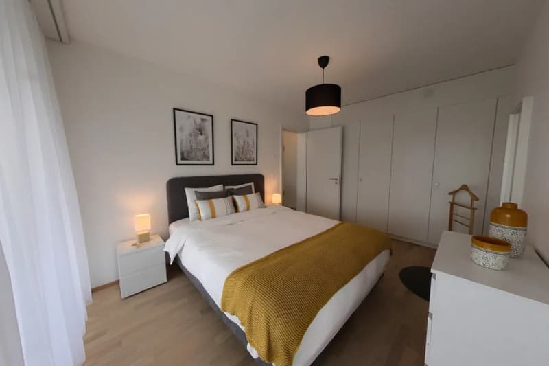 Furnished 1-bed with Balcony & Parking / Appartement meublé 1 chambre Nyon (4)