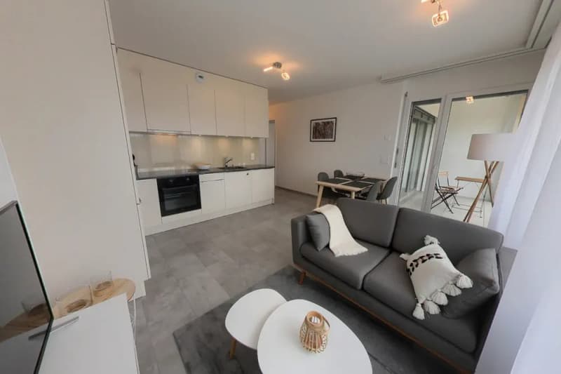 Furnished 1-bed with Balcony & Parking / Appartement meublé 1 chambre Nyon (2)