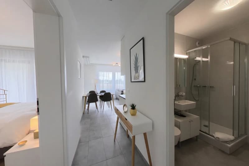 Furnished 1-bed with Balcony & Parking / Appartement meublé 1 chambre Nyon (3)