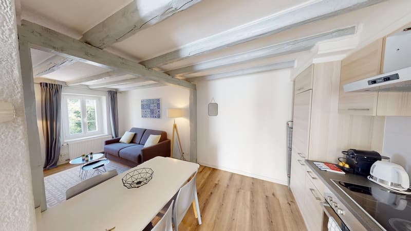 Modern & Geräumiges 1-Zimmer-Apartment - Exzellente Lage nahe Union Prilly (3)