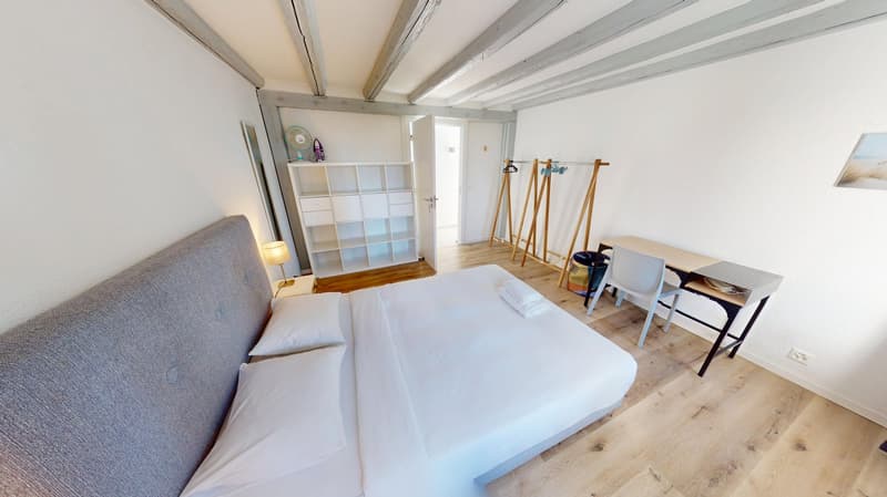 Modern & Geräumiges 1-Zimmer-Apartment - Exzellente Lage nahe Union Prilly (9)