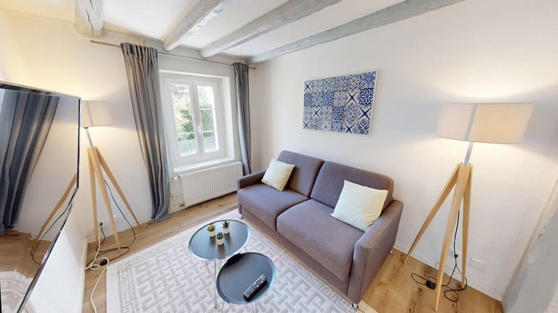Modern & Geräumiges 1-Zimmer-Apartment - Exzellente Lage nahe Union Prilly (13)