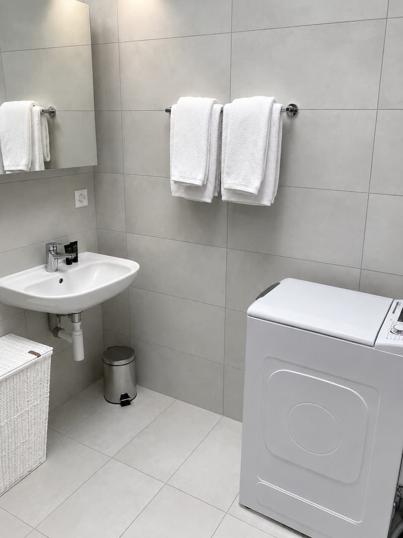 Charming 2.5-Room Apartment in Nyon – Available from July 2026 (11)