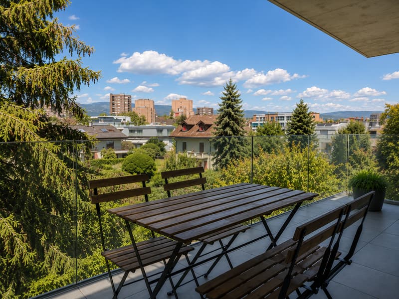 Charming 2.5-Room Apartment in Nyon – Available from July 2026 (7)