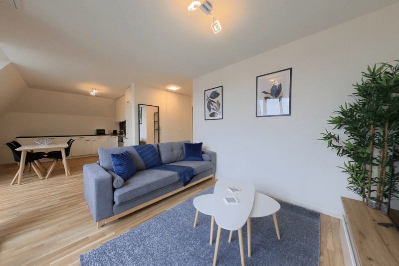 Spacious 1-Bedroom Furnished Apartment with Balcony - Central Lausanne (6)
