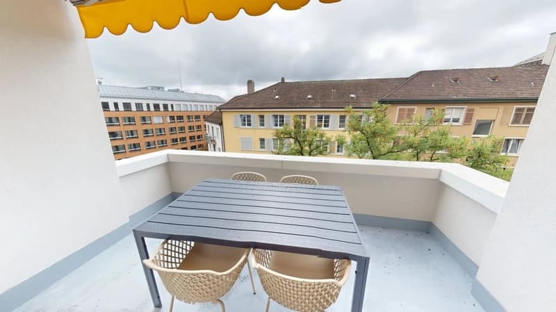 Appartement 1 chambre bien connecté à Zurich (8)