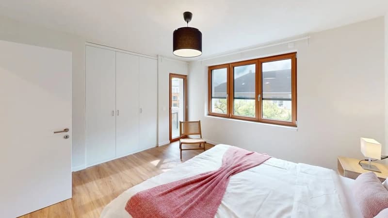 Appartement 1 chambre bien connecté à Zurich (6)
