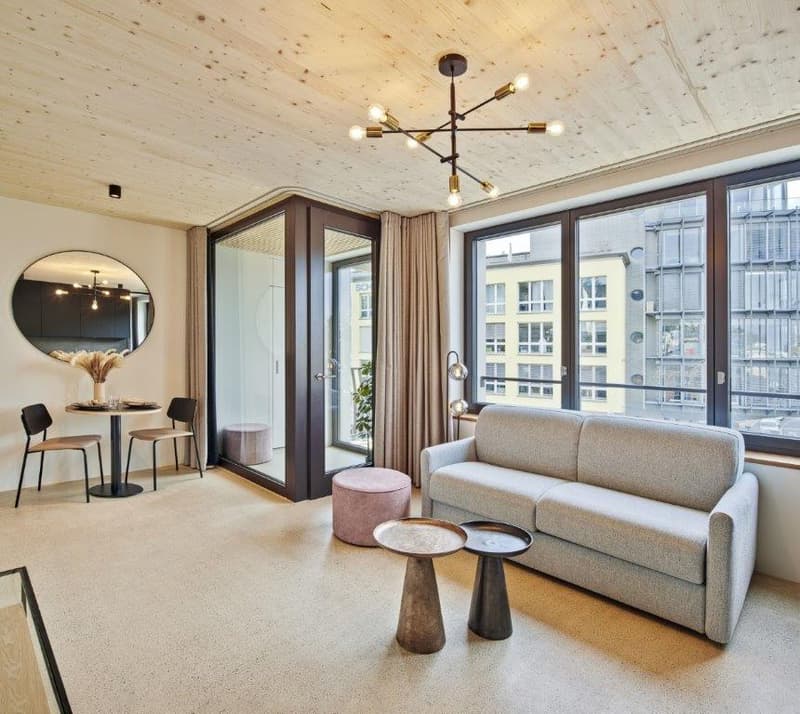 Luzern - modern 1-bed apartment (2)
