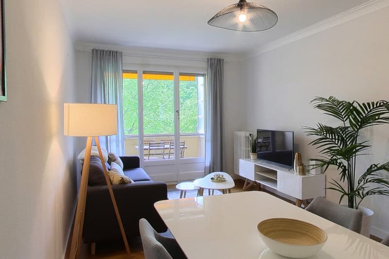 Spacious 2-Bedroom Furnished Apartment with Balcony and River Views in Geneva (4)
