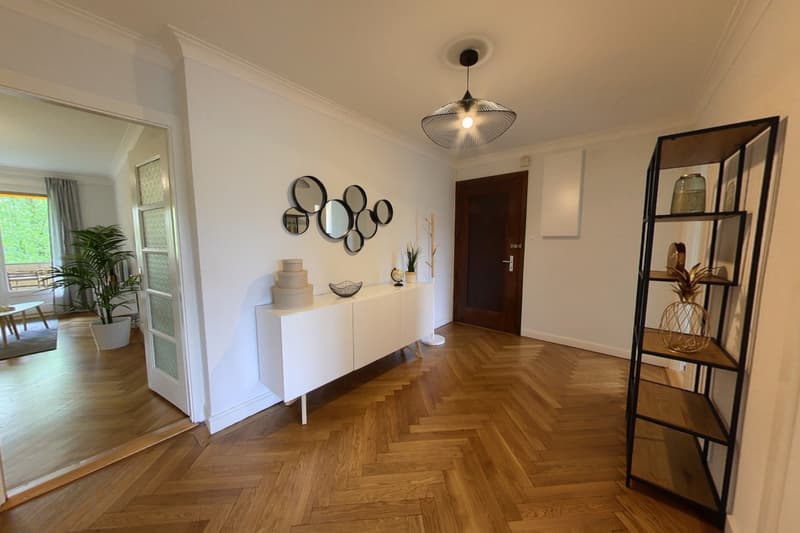 Spacious 2-Bedroom Furnished Apartment with Balcony and River Views in Geneva (11)