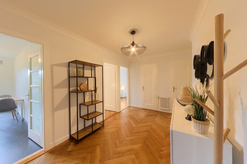 Spacious 2-Bedroom Furnished Apartment with Balcony and River Views in Geneva (13)